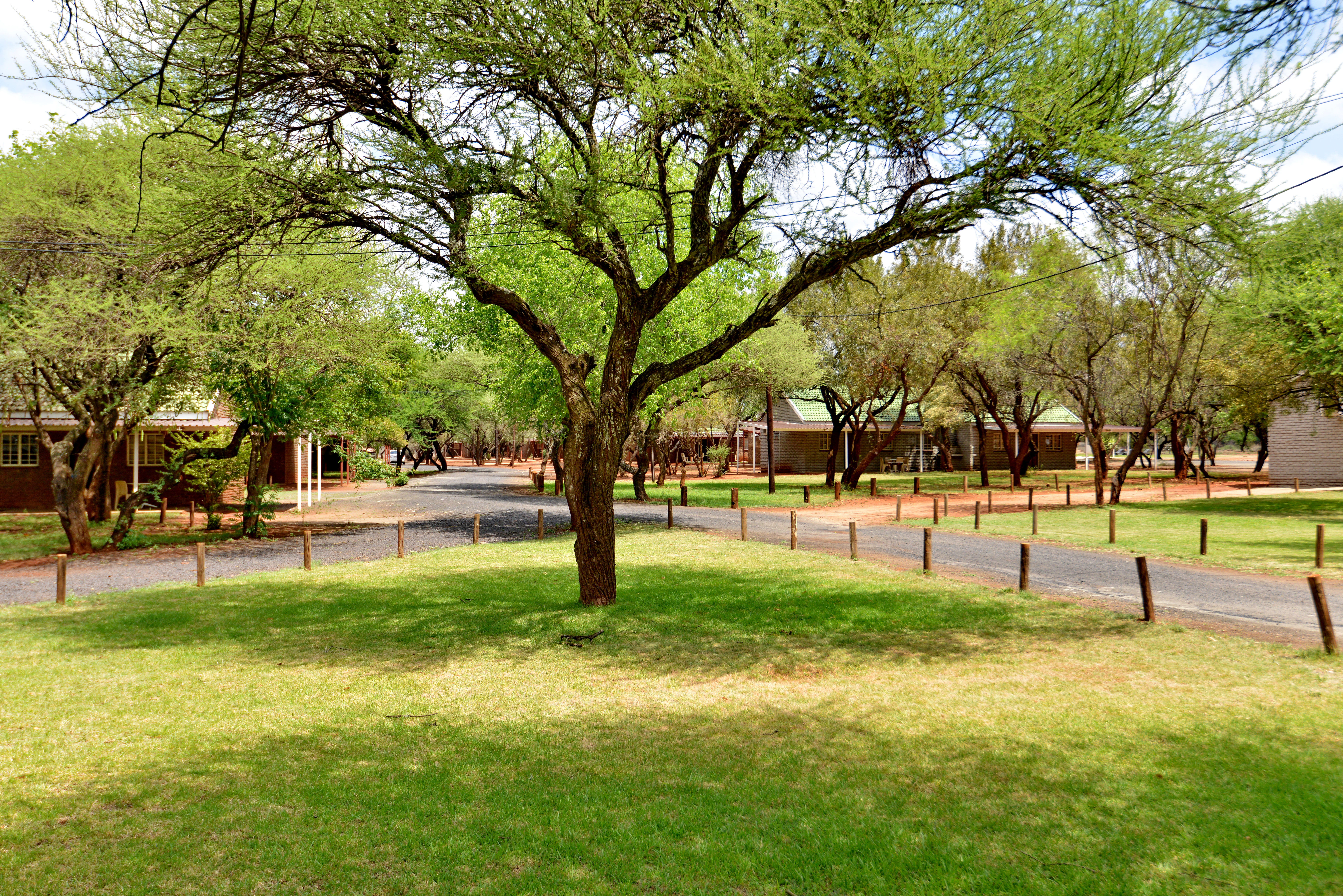 Bushveld gardens at Sundown Country Estate near Sun City and Pilanesberg